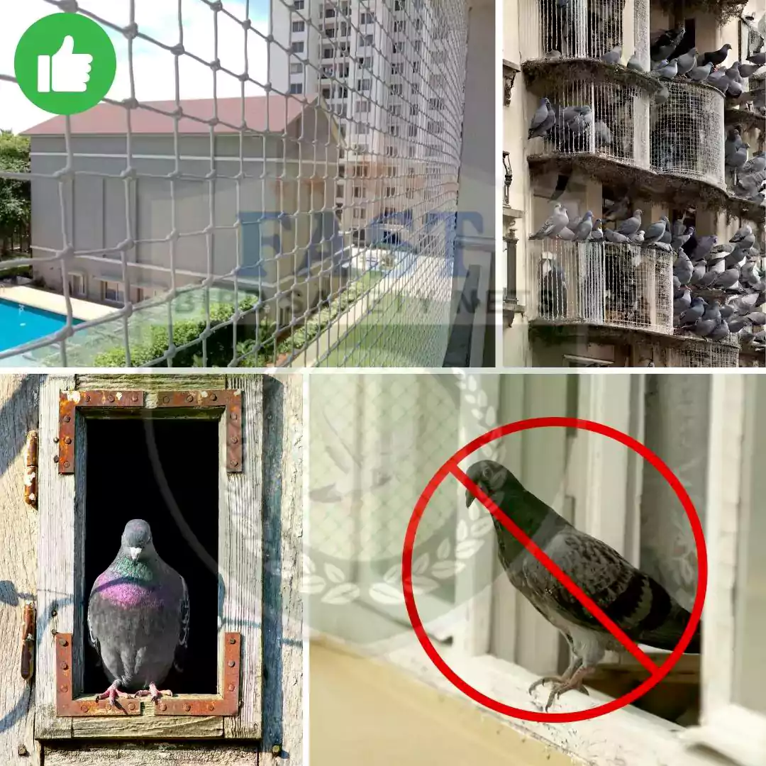 Professional Bird Netting Service in Hyderabad