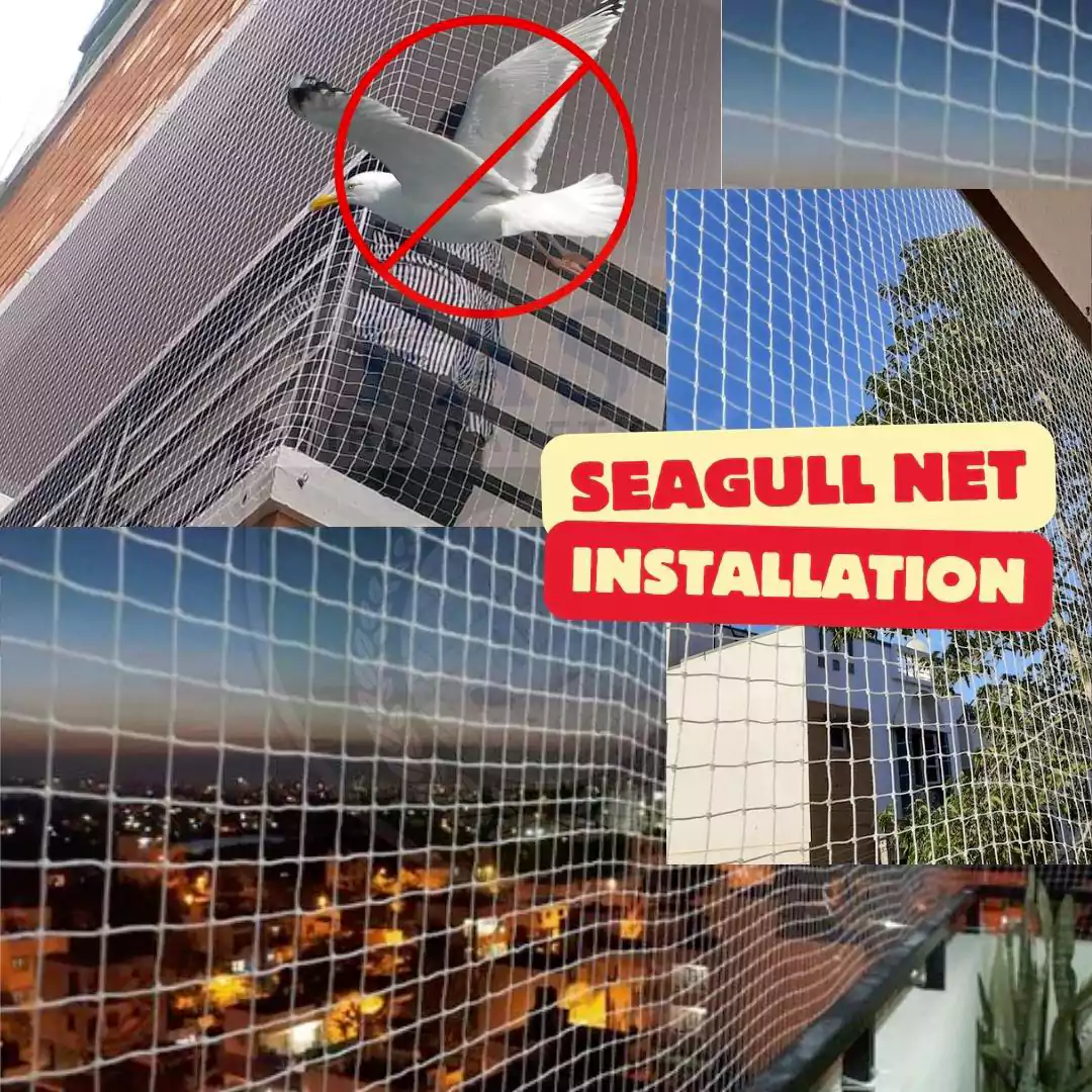Seagull Netting for Roofs