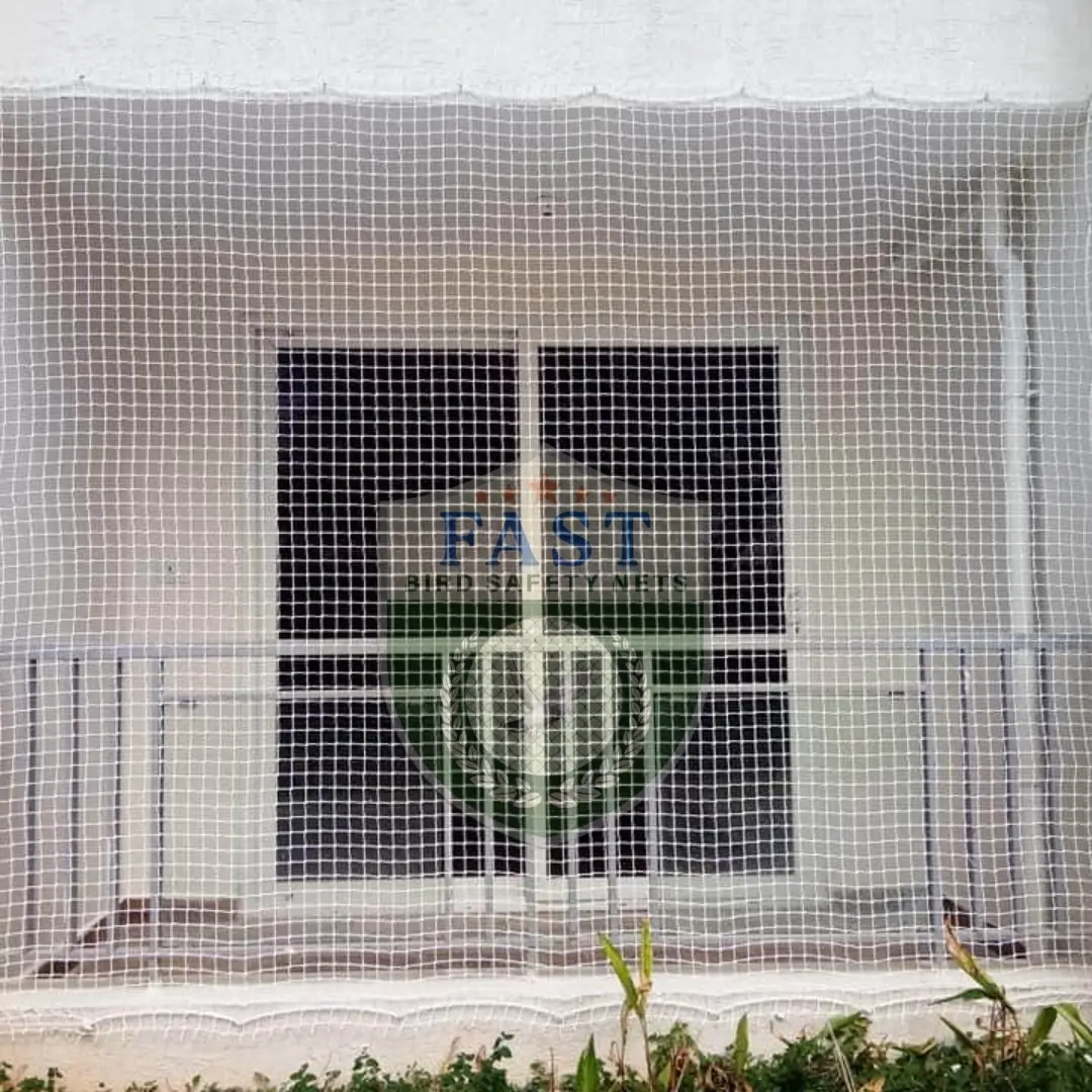 Sparrow Prevention Net Fixing - Fast Safety Nets
