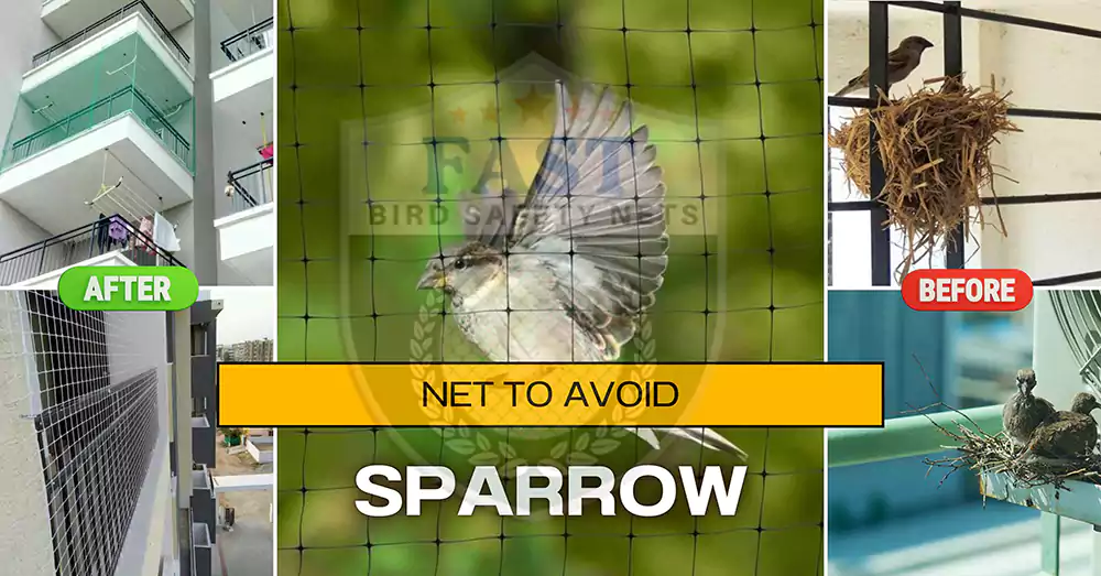 How to Keep Bird Away from Home