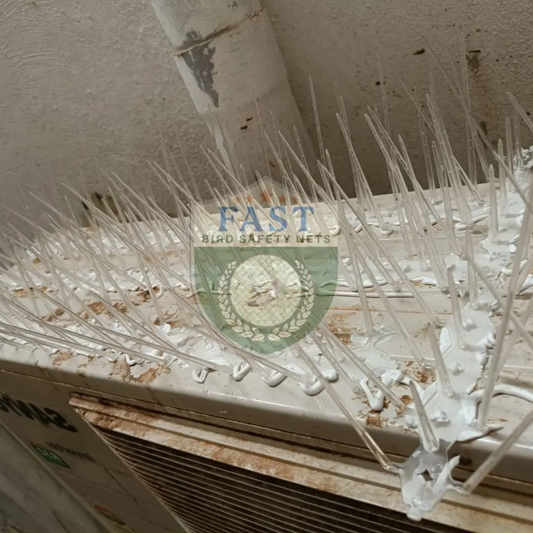 Bird Spikes Fixing for Windows Sills
