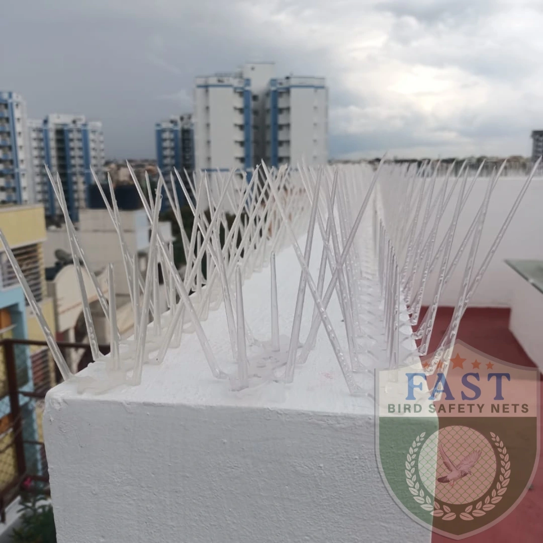 Bird Spikes Installation in Hyderabad