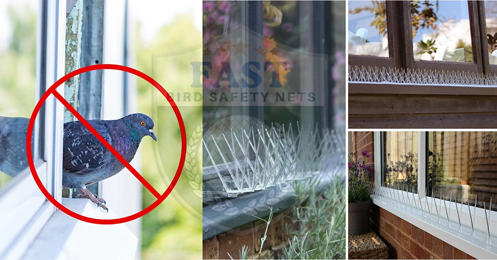 Bird Control Solutions - Bird Spikes for Windows Sills