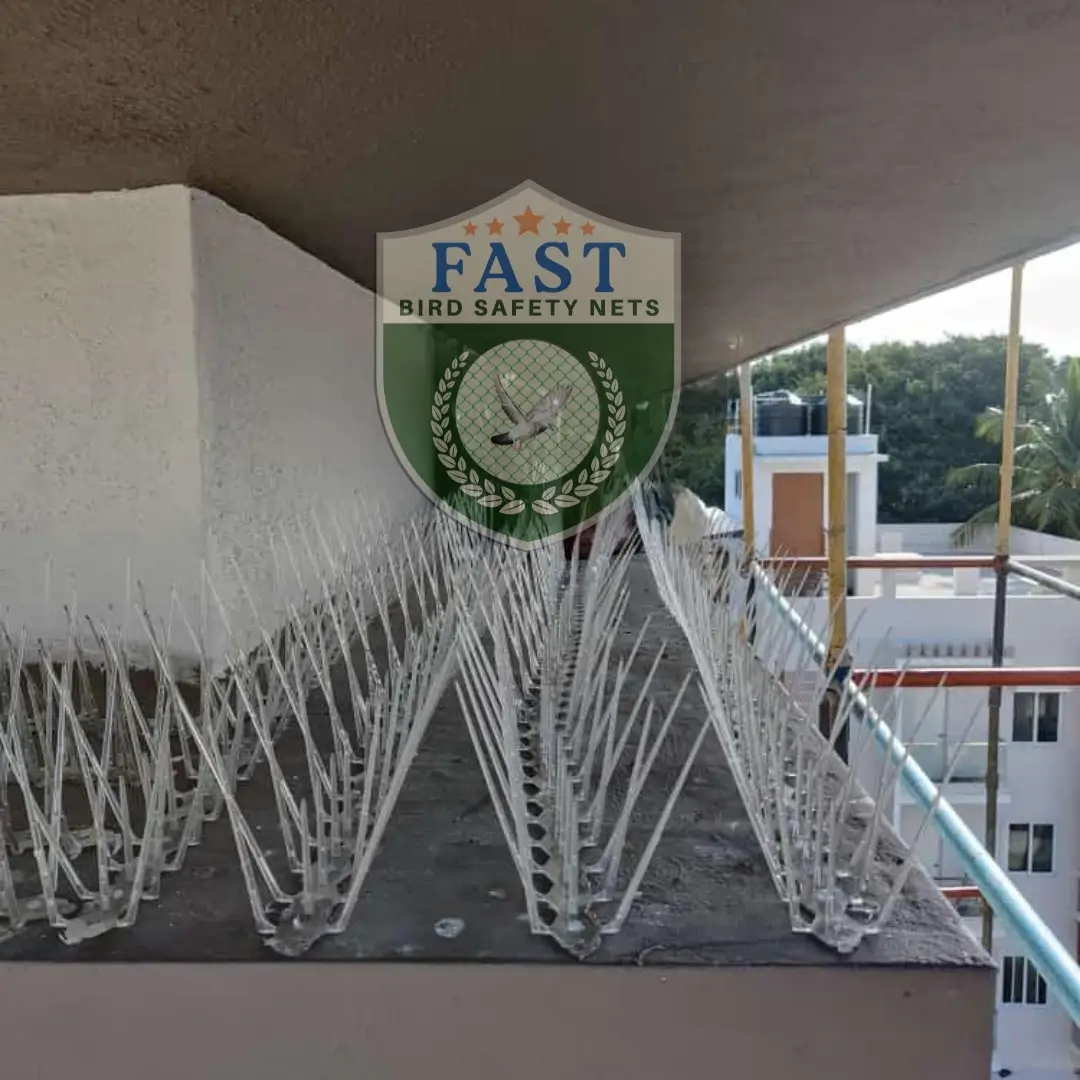 Pigeon Proofing Spikes Installation in Hyderabad