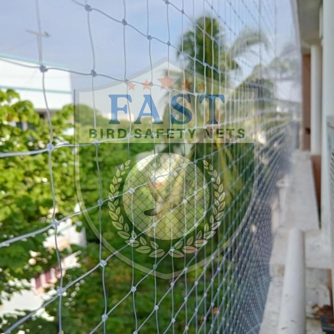 HDPE Nylon Netting Services in Hyderabad