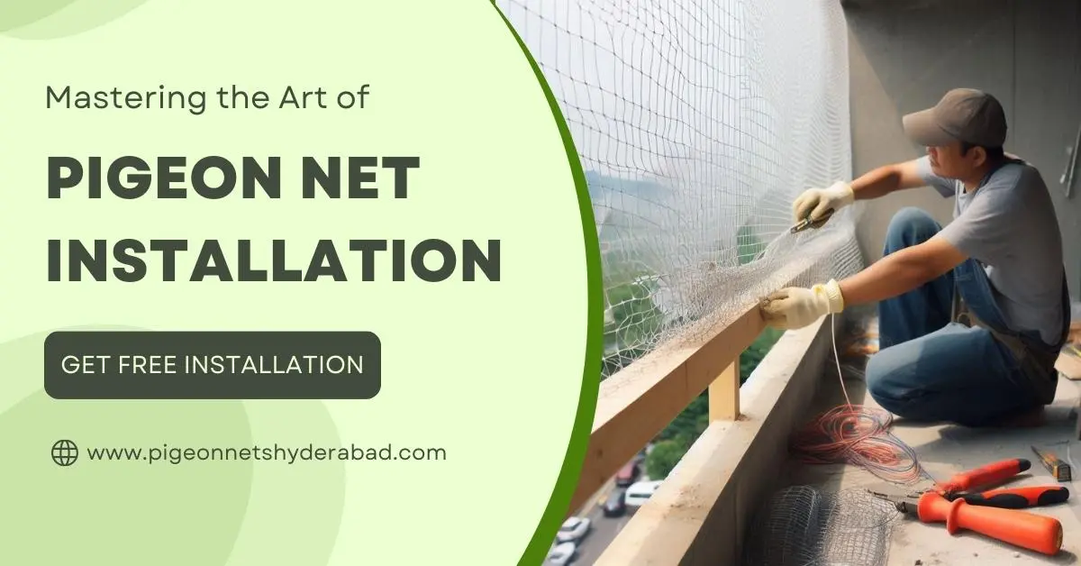 Tips to Install Net to Deter Bird