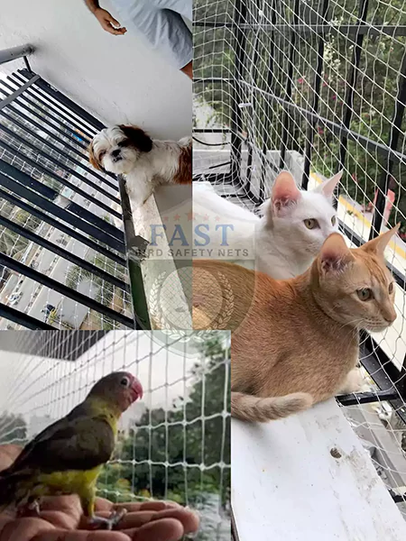 Pet Nets for Balcony Railing near me in Hyderabad