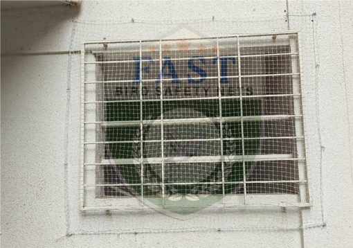 Window Net to Avoid Pigeons