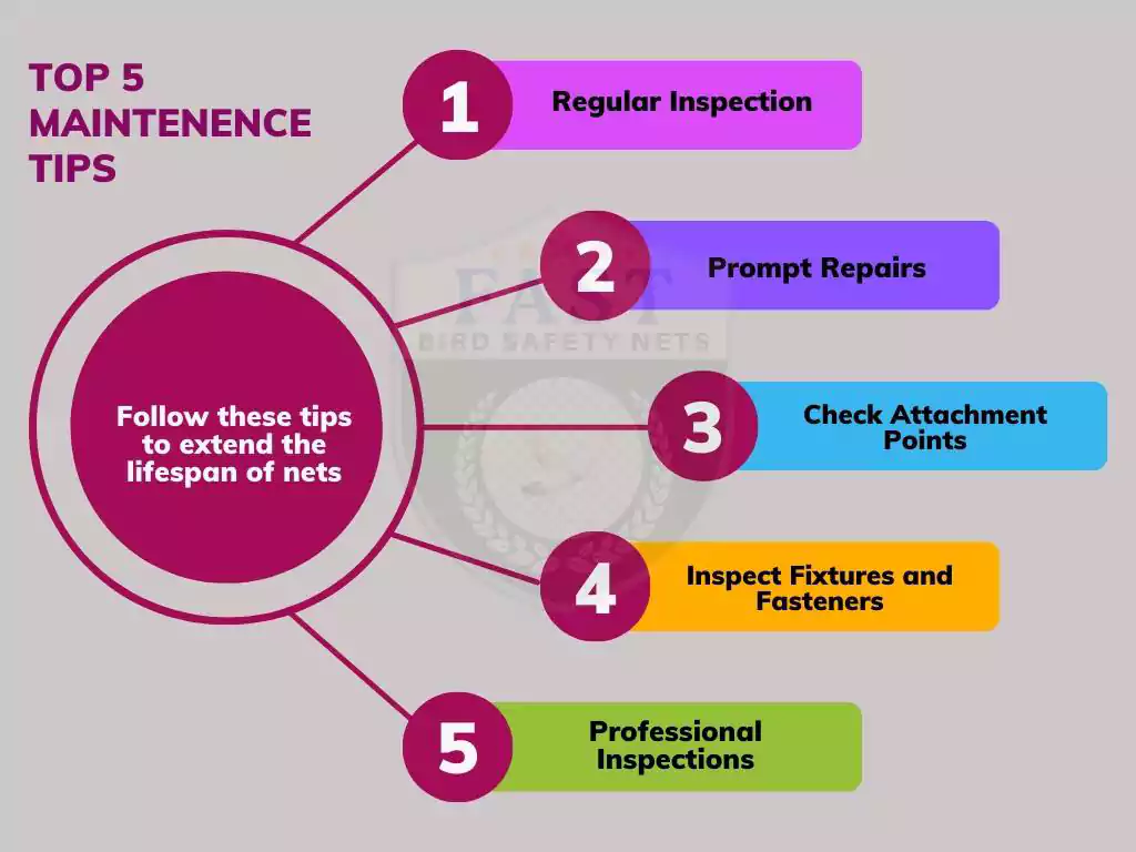 5 Tips to Increase the Life Span of Pigeon Nets