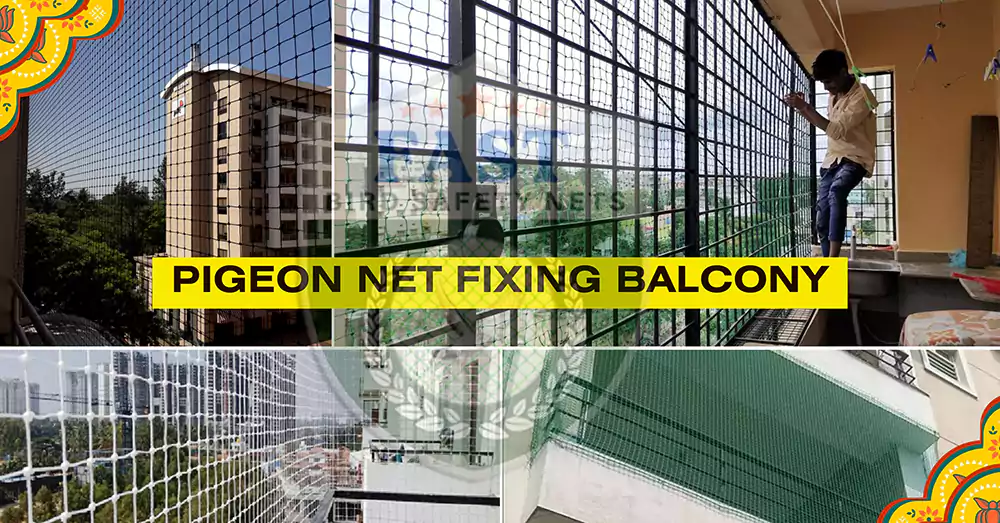 Pigeon Net Fixing Near Me in Balcony