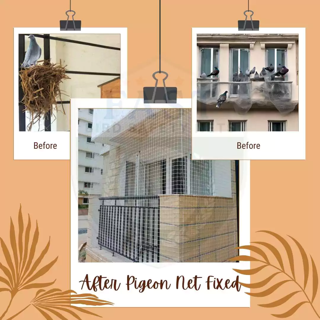 Pigoen Net Installation in Balcony Near Me