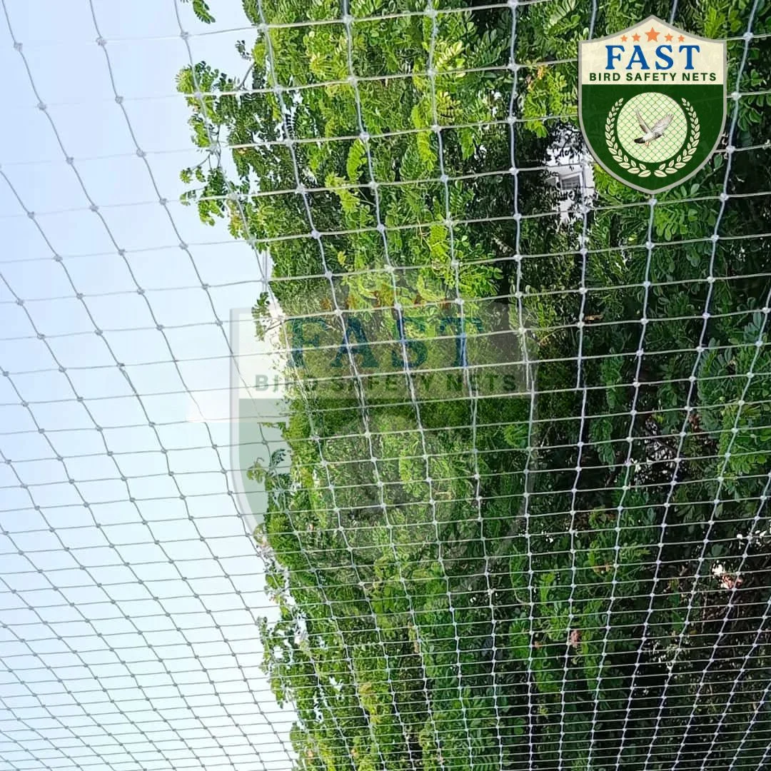 Transparent net installed on Balcony