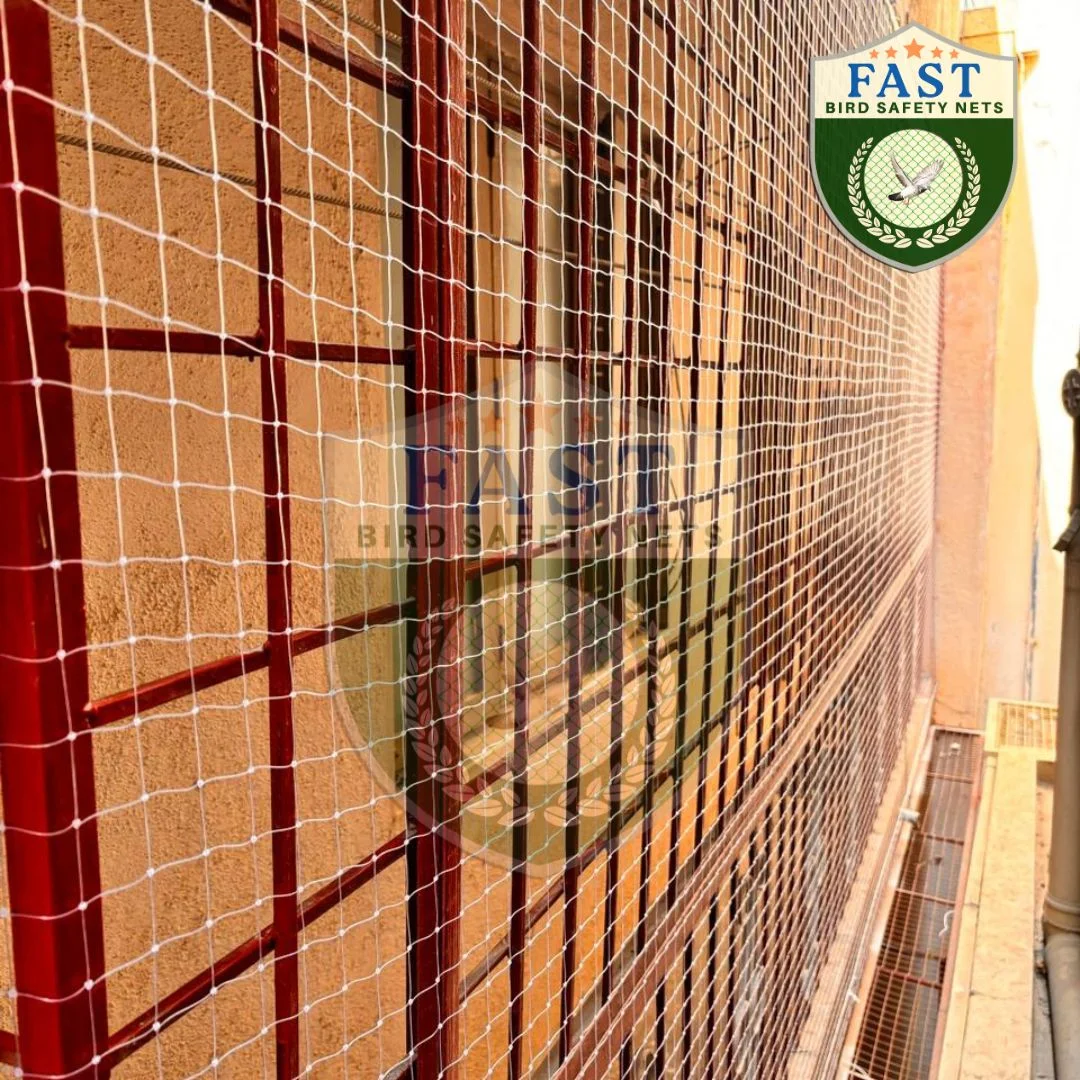 Transprarent Pigeon Netting Installation in Balcony