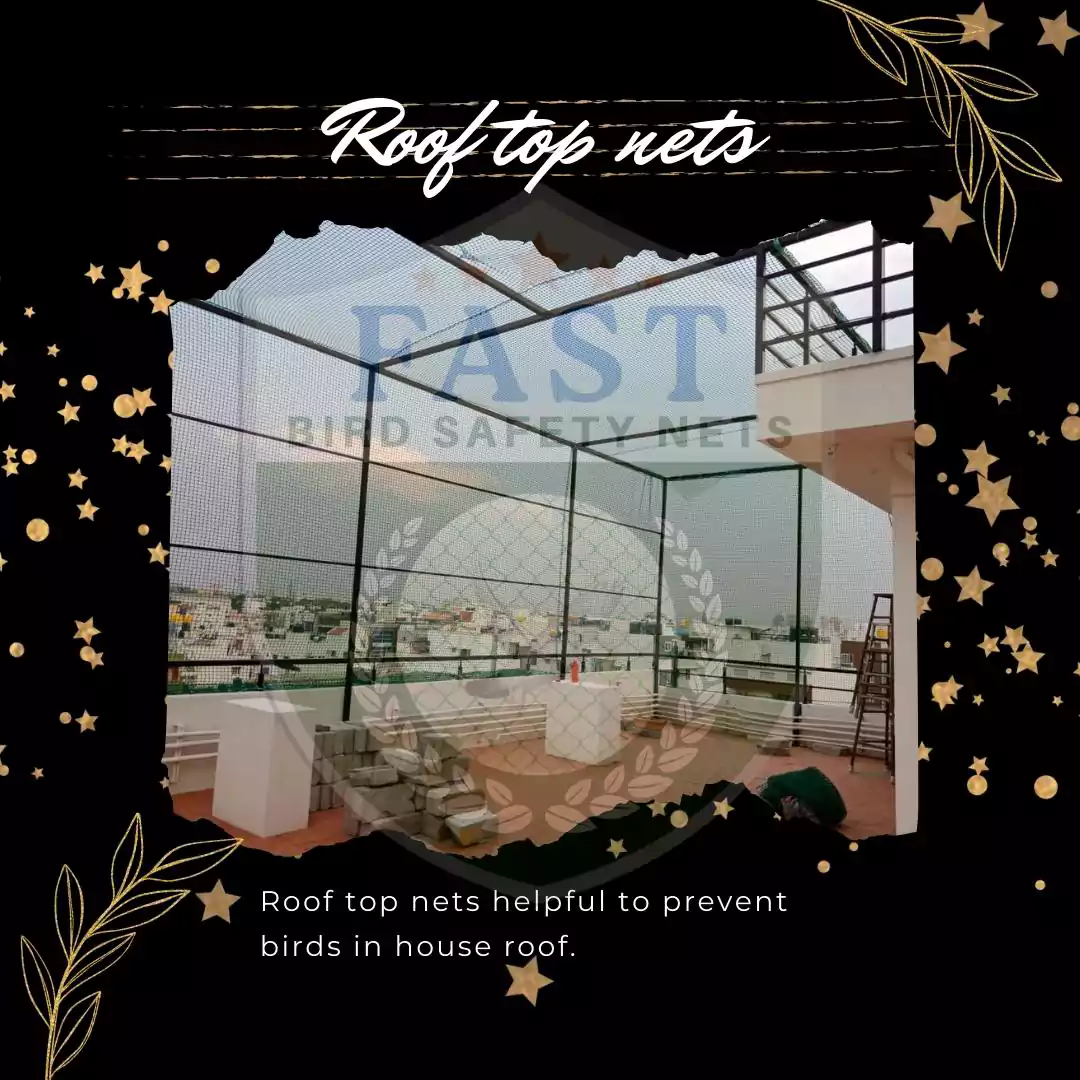Terrace Net for Bird Prevention