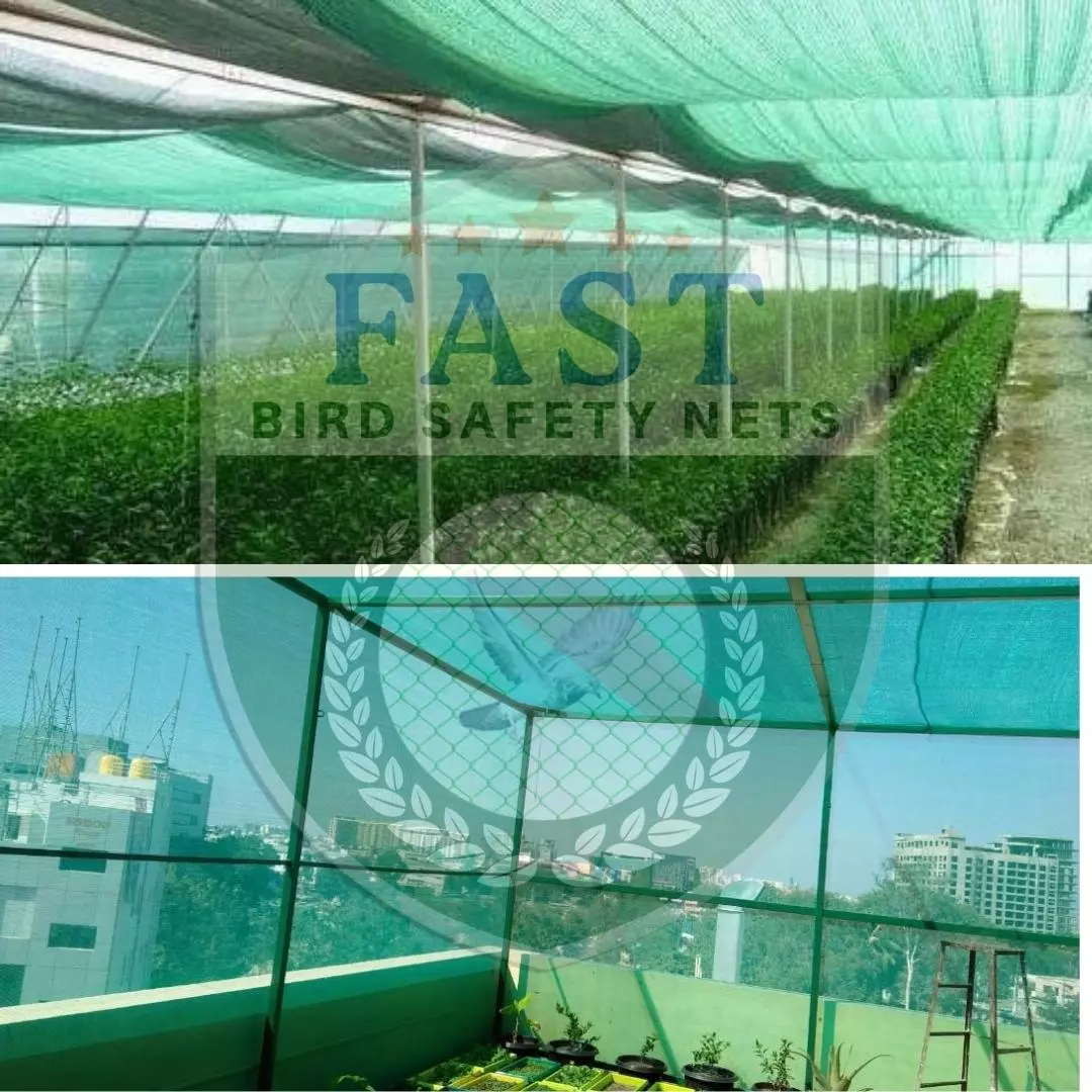 High Quality Green Shade Net Installation